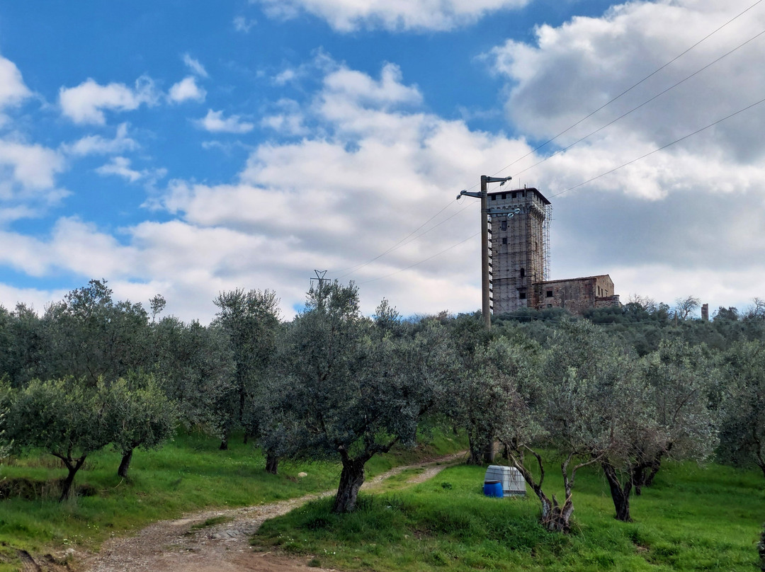 Torre di Baroncoli-卡伦扎诺必去景点