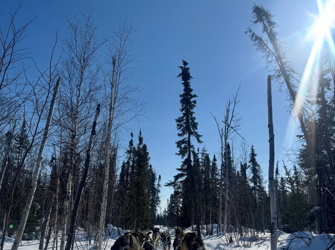 North of 60 Aurora Adventures-黄刀镇必去景点