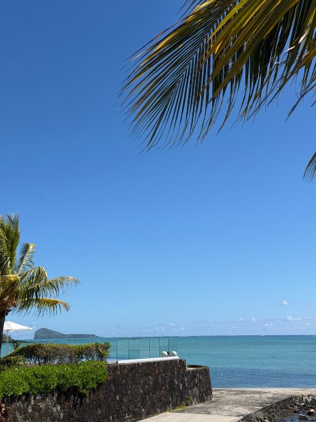 维兰达保尔弗吉尼酒店及水疗中心 - 仅限成人-官方