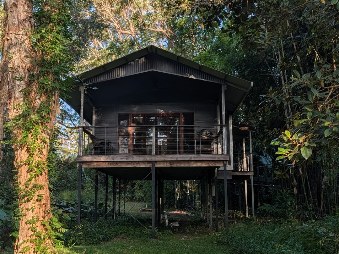 Treehouse Retreat at Diamond Waters主图