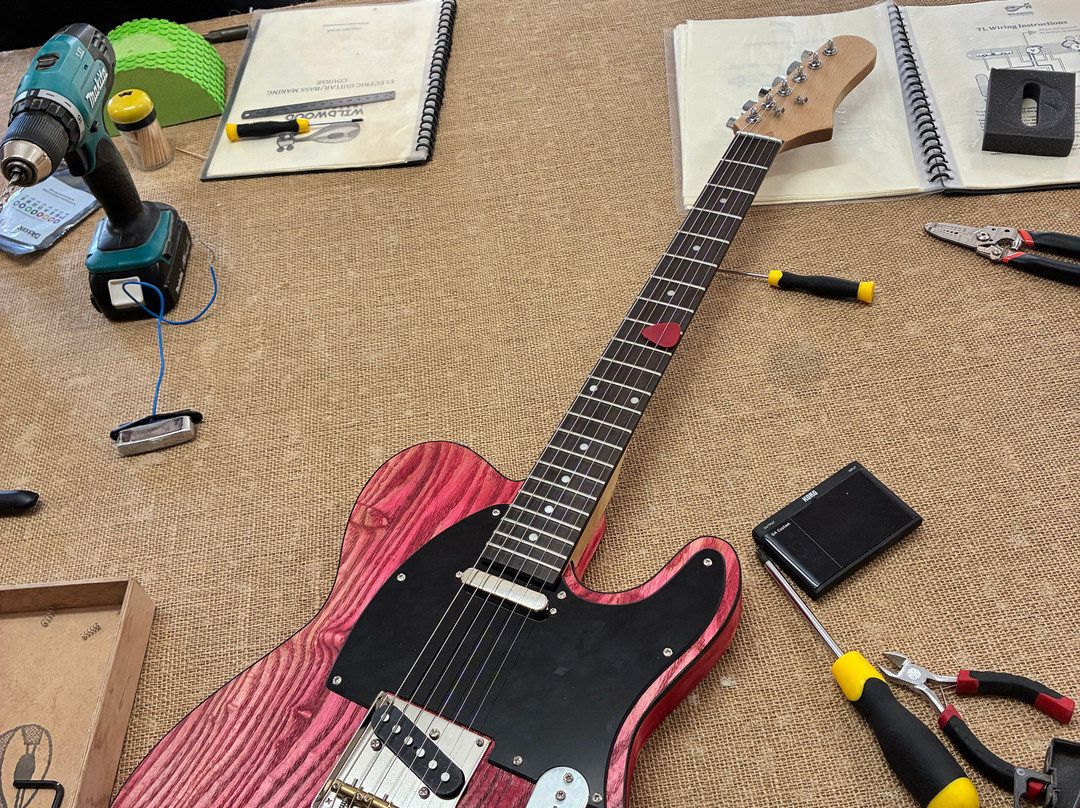 Wildwood Instruments - Guitar Making Courses & Art Gallery-戴尔斯福特必去景点