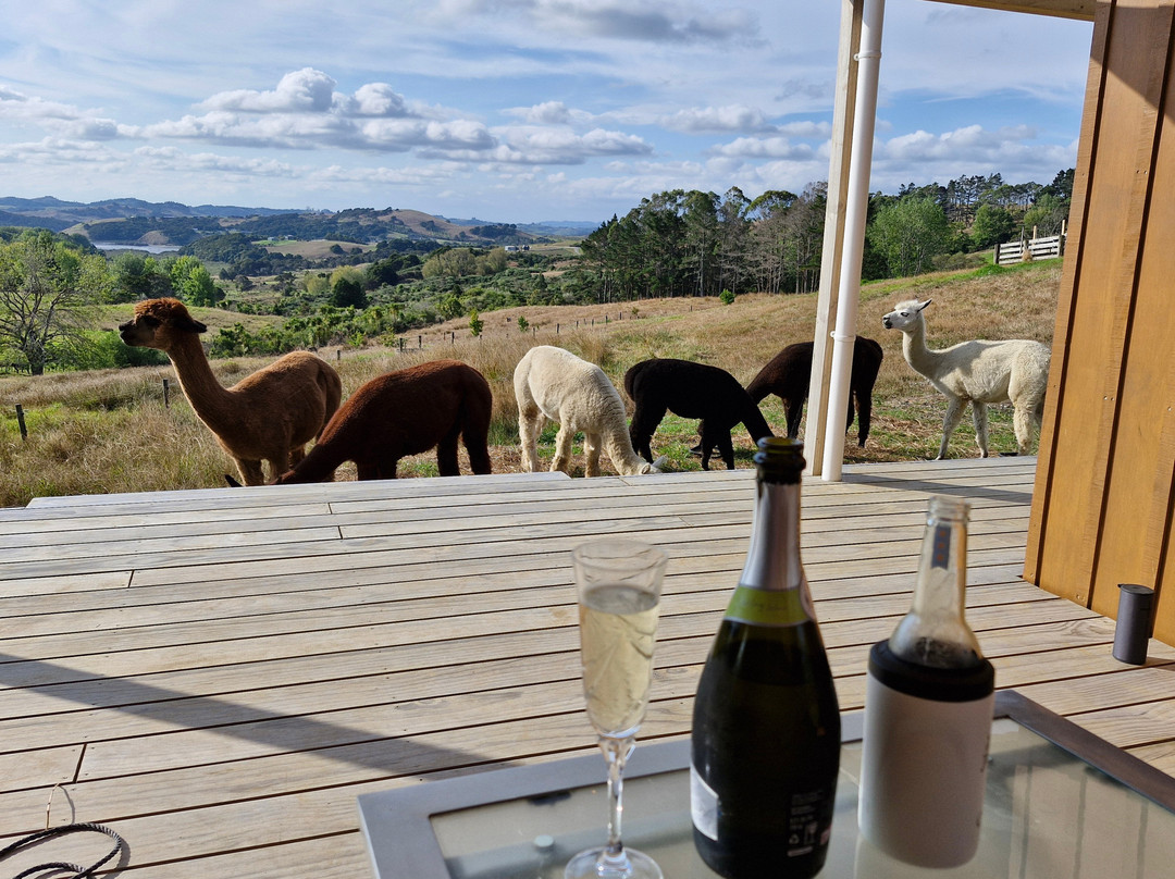 HavenRidge Alpaca Glamping Cabins