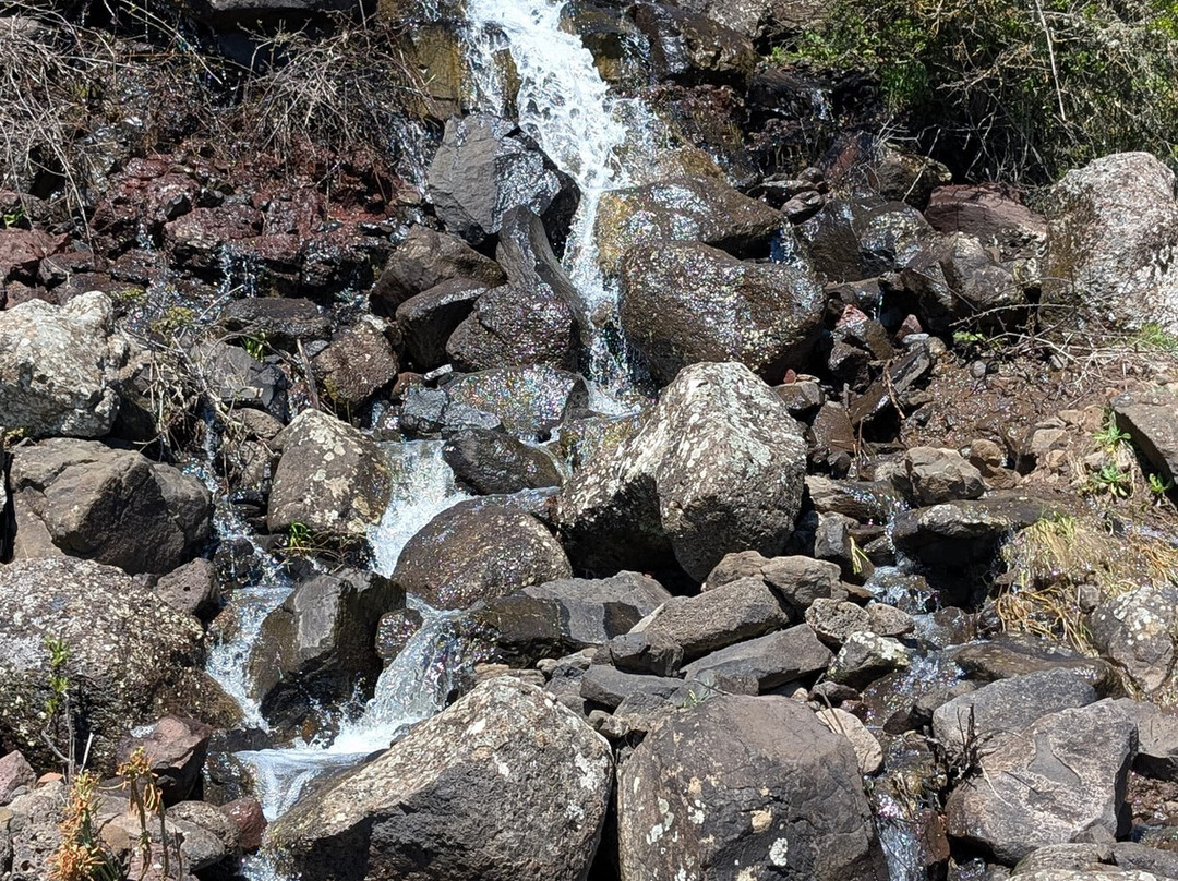 Vivisardinia-Collinas必去景点