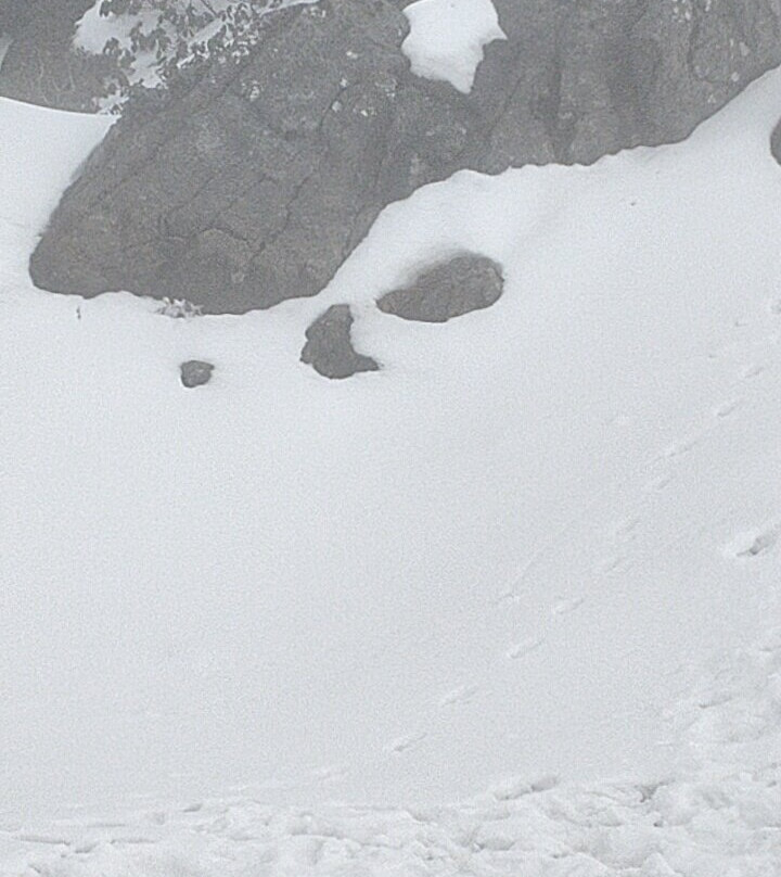 Ease Tours & Treks-甘托克必去景点