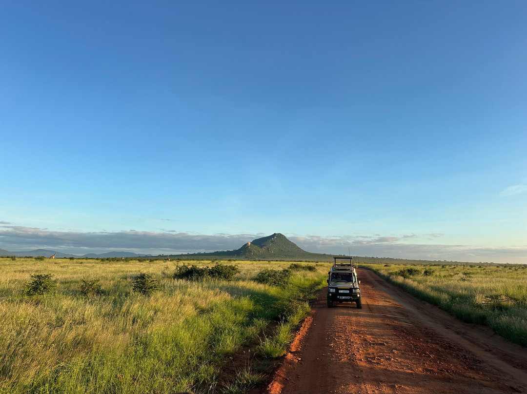 Safari Lenana-瓦塔木必去景点