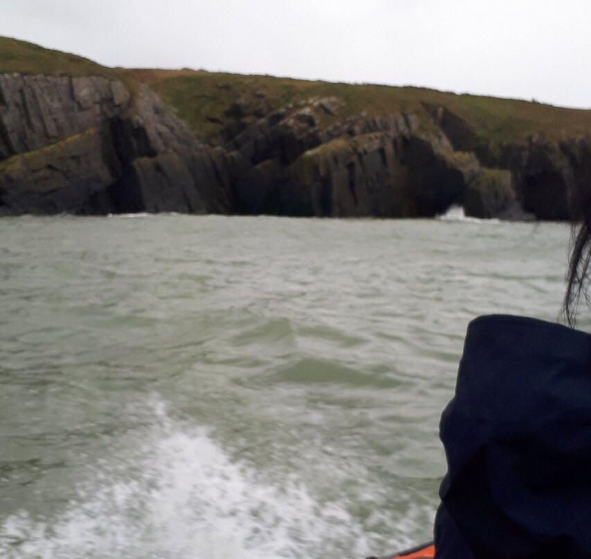 A Bay To Remember Wildlife Boat Trips-St. Dogmaels必去景点