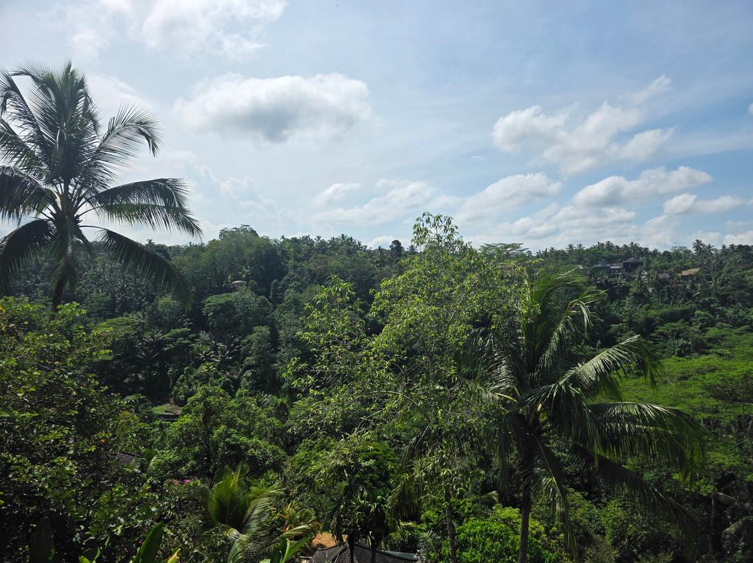 Wanna Jungle Pool and Bar-佩艳艮必去景点