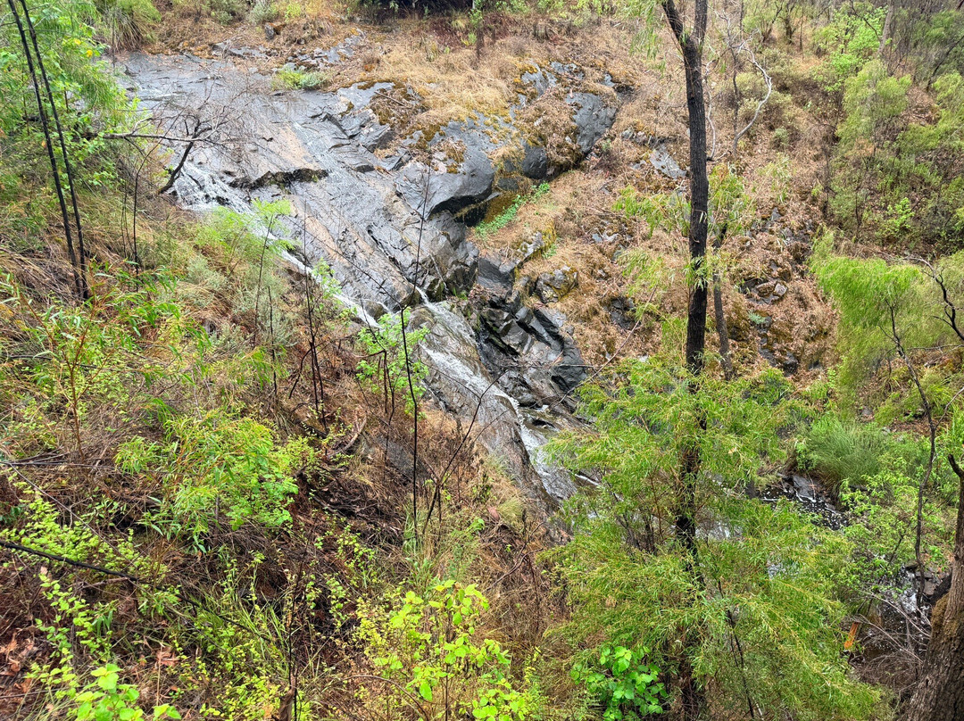 Beedelup National Park-彭伯顿必去景点