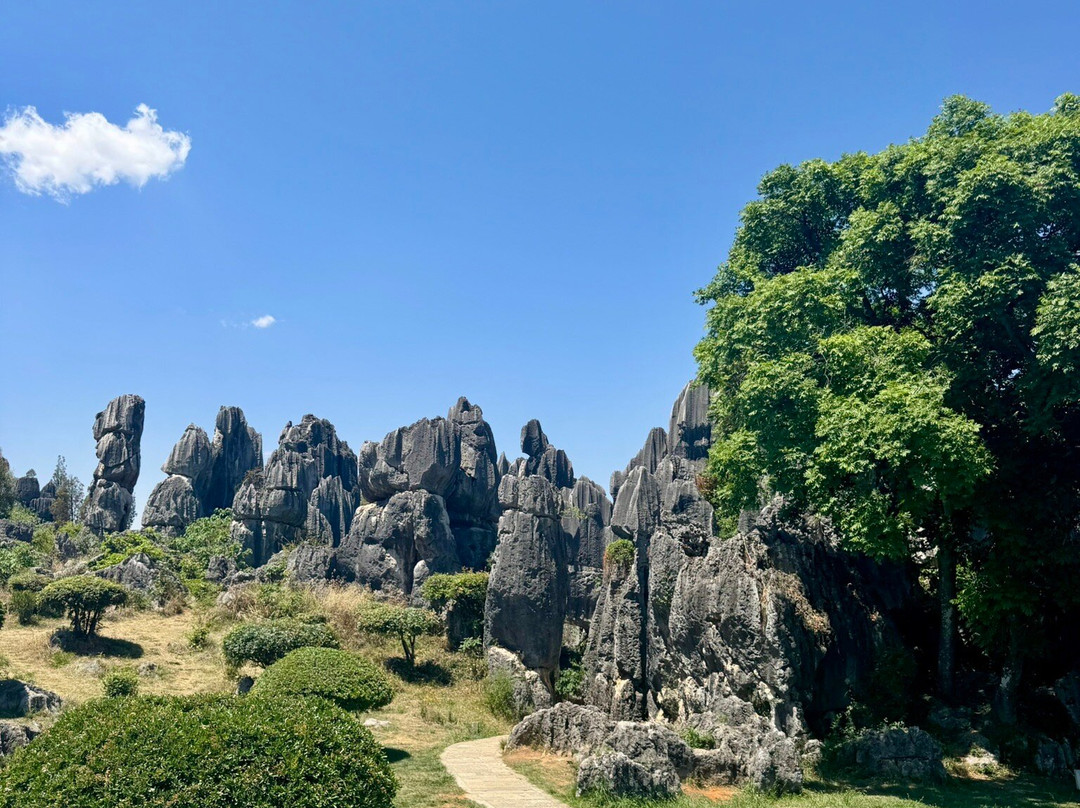 石林风景区-石林彝族自治县必去景点