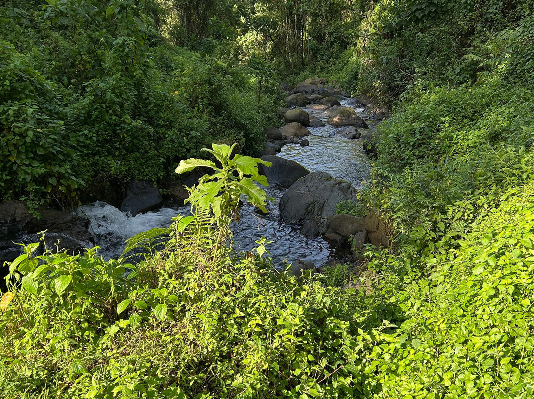 Mt. Elgon Hikes Uganda-Sipi必去景点