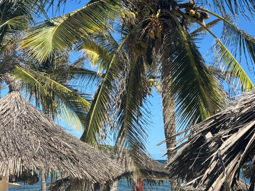 Seven Islands Resort主图