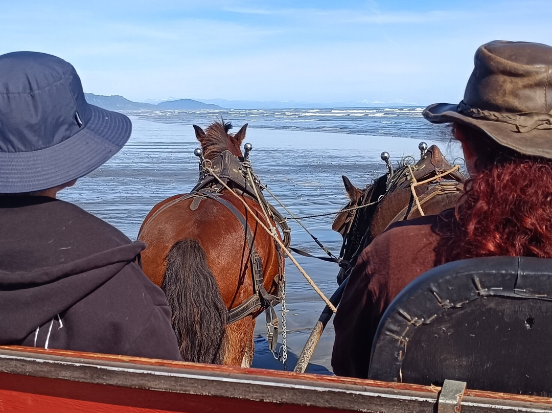 Golden Sands Horse and Wagon Tours-巴里镇必去景点