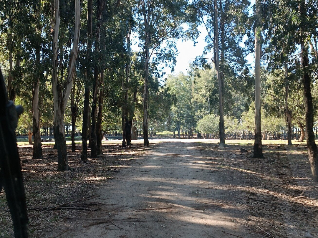 Parque natural de flora y fauna Dr. Talice-Trinidad必去景点