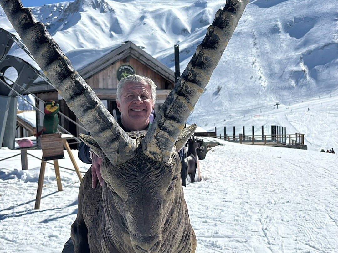 Hôtel Châlet Du Crey主图