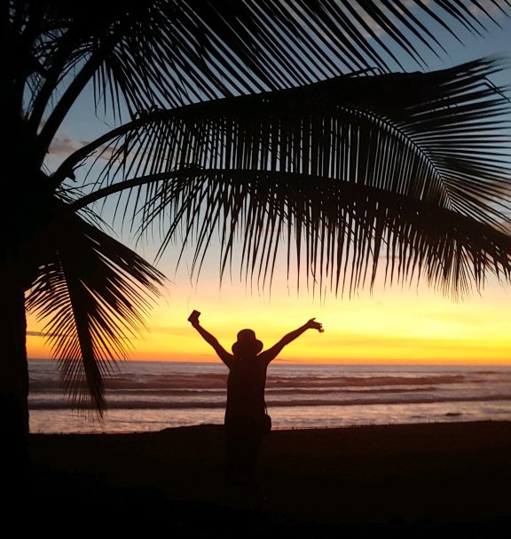 德芬贝胡科海滩酒店-旅行者