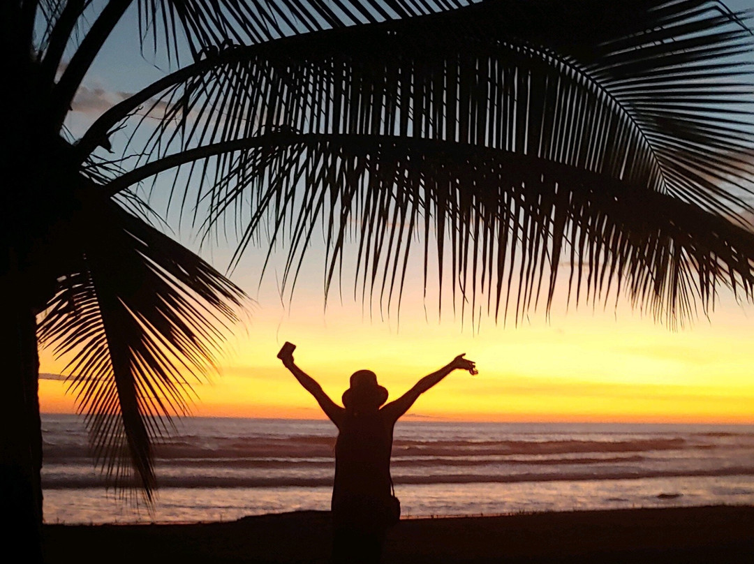 德芬贝胡科海滩酒店主图