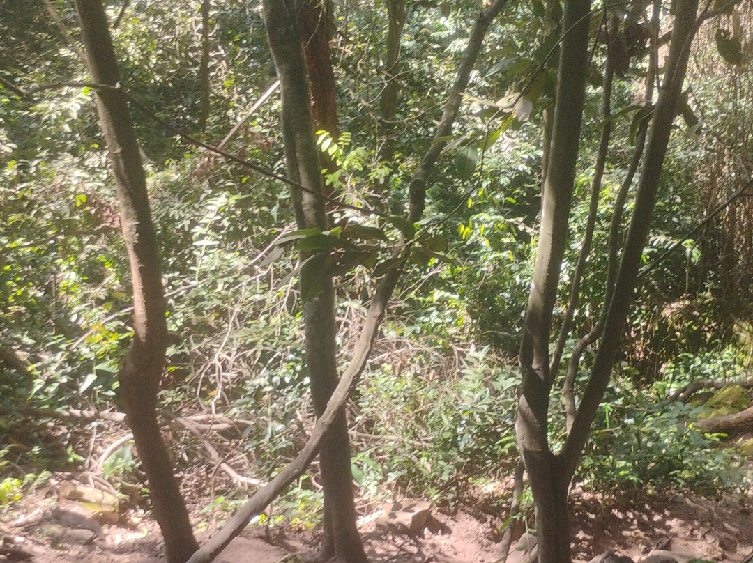 Cachoeira Acaba Vida-Barreiras必去景点