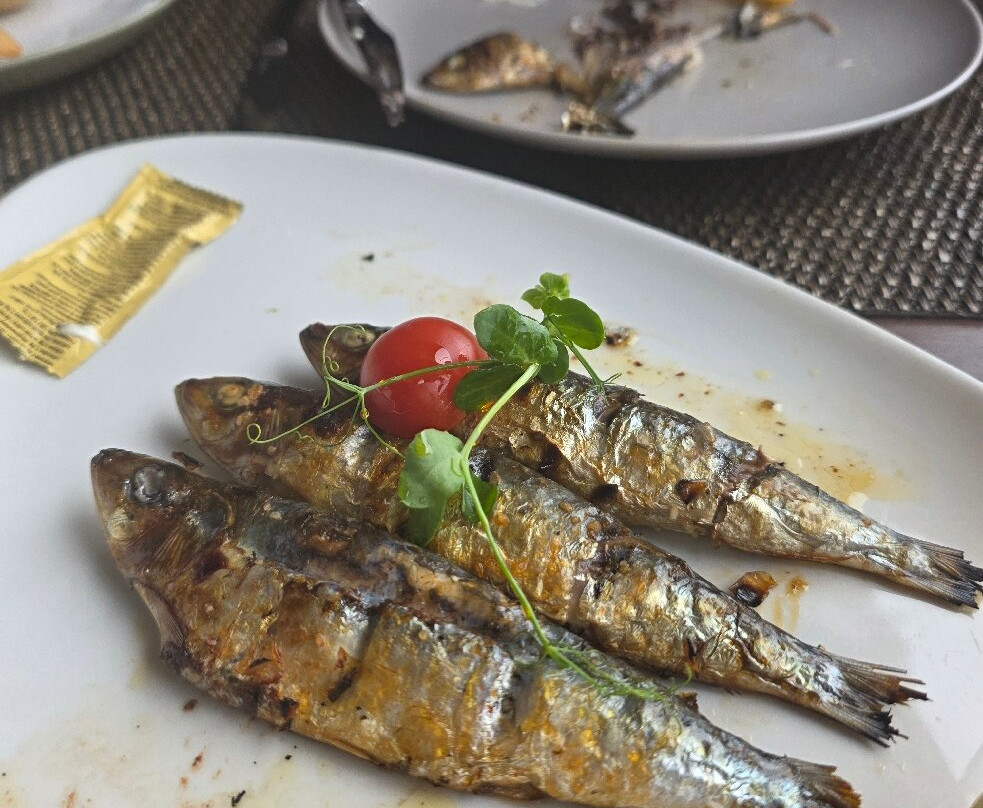 皮尼亚尔码头旅游公寓酒店主图