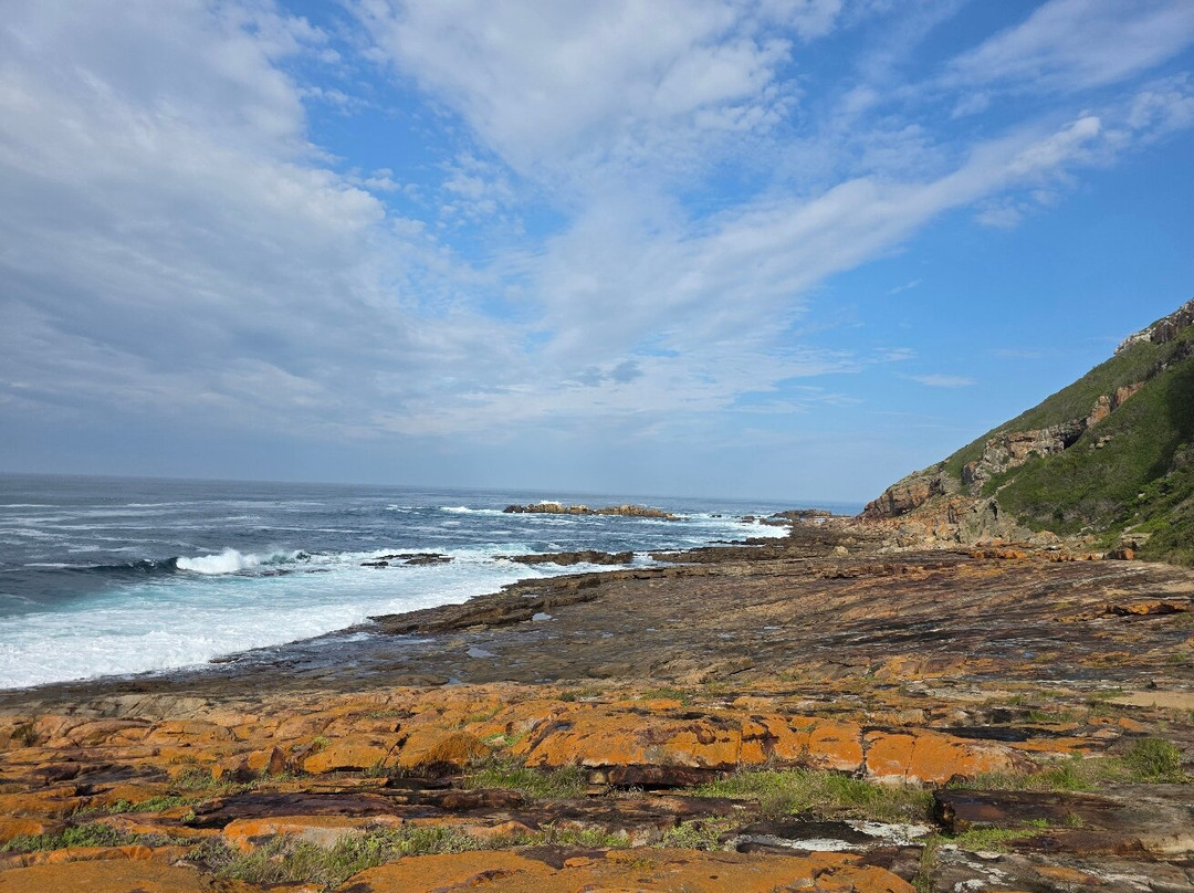 Robberg Nature Reserve-普利登堡湾必去景点