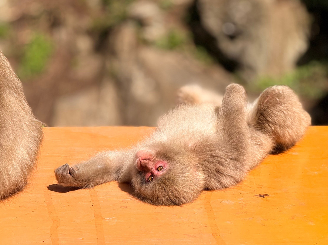 斯玛雅酒店主图