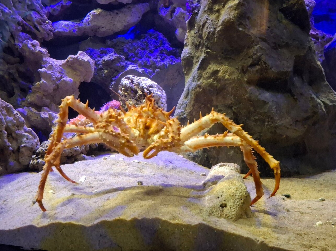 Bergen Aquarium-卑尔根必去景点