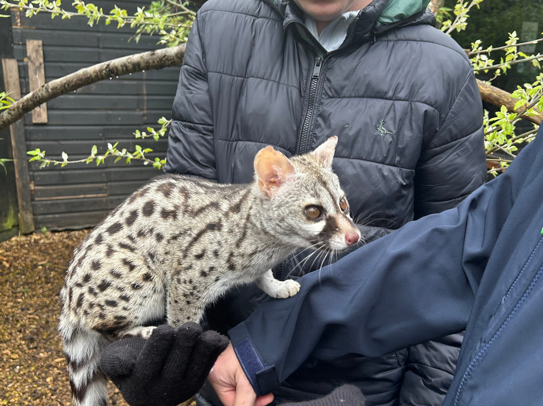 Exotic Zoo Wildlife Park + Natural History & Dino Museum-特尔福德必去景点