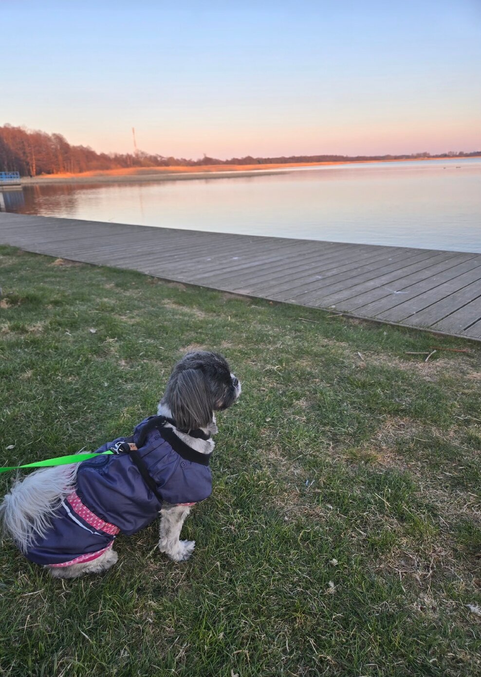 Interferie Dąbki SU Argentyt-旅行者