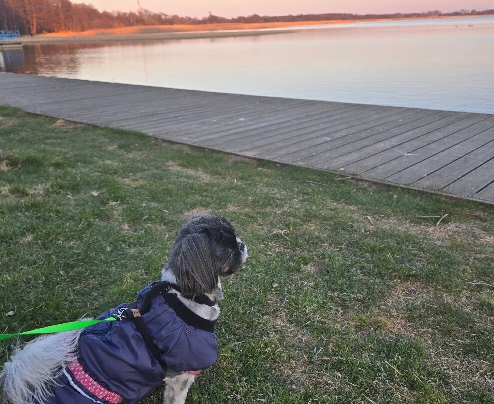 Interferie Dąbki SU Argentyt主图