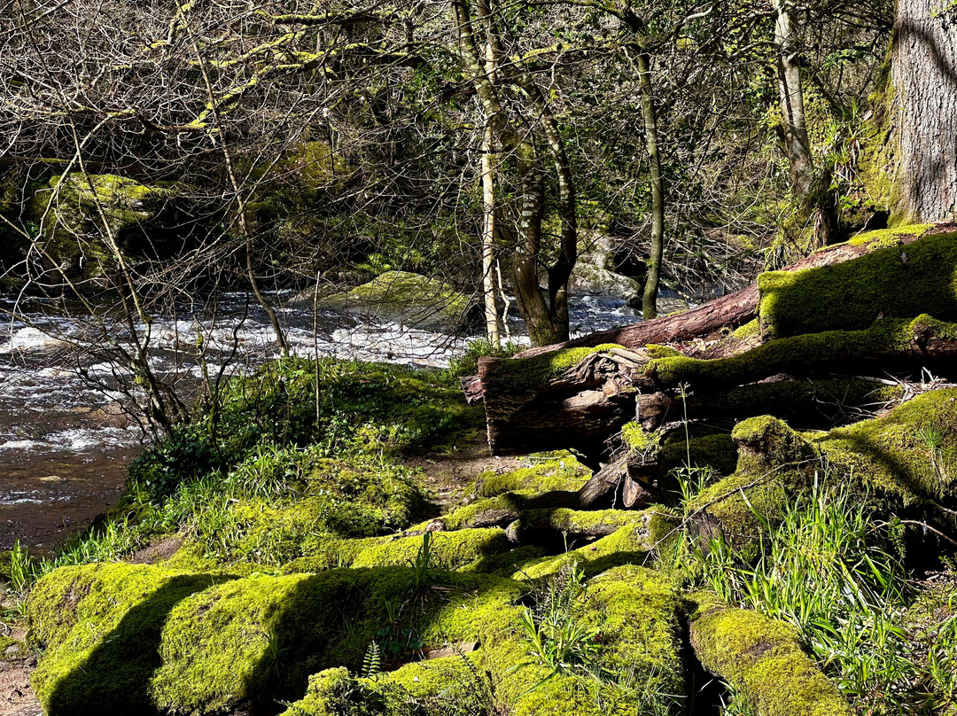 Roe Valley Country Park-Limavady必去景点