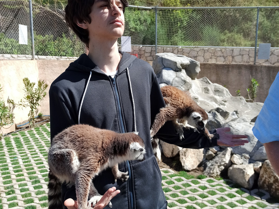 Farma of Rhodes Petting Zoo-罗德斯必去景点