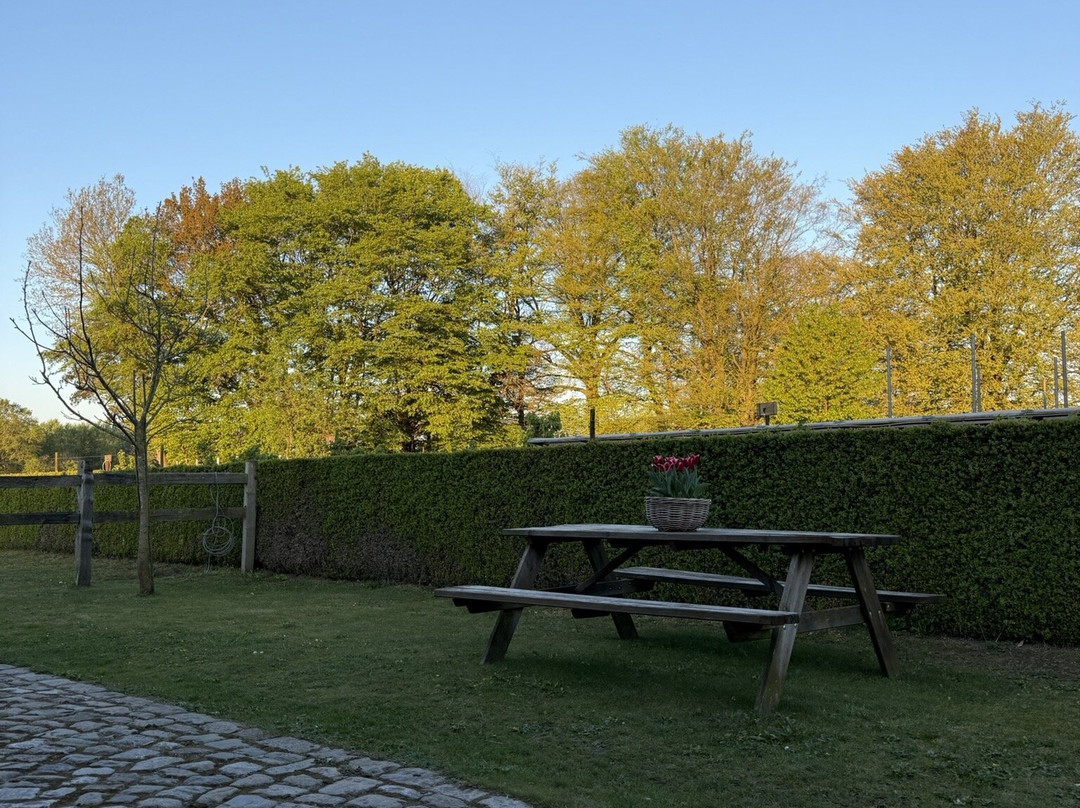 De Cromvoirtse Bed and Breakfast主图