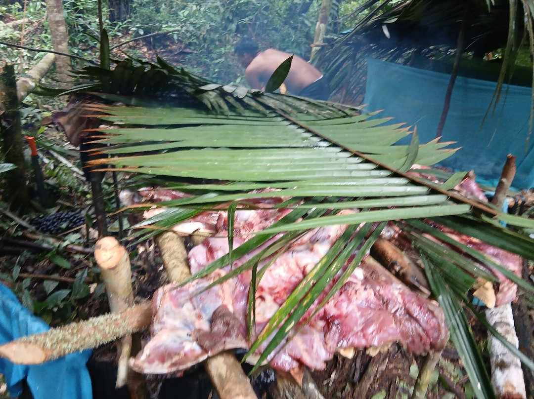 Green Wild Amazon Expedition-伊基托斯必去景点