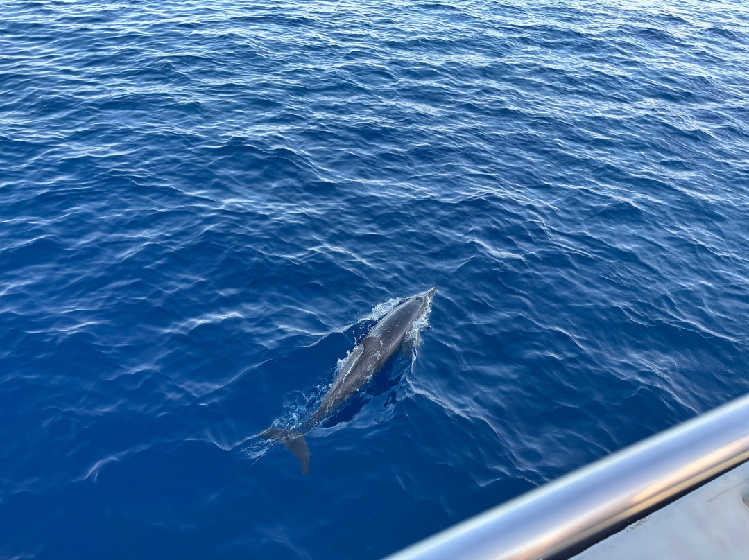Sub Oceanic at Le Méridien Maldives Resort & Spa-Thilamaafushi必去景点