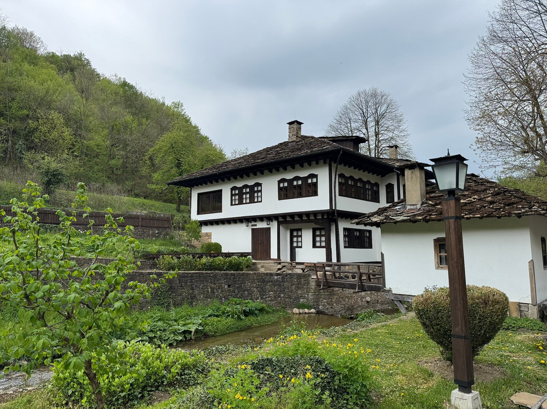 Open Air Ethnographic Museum ETAR-加布罗沃必去景点