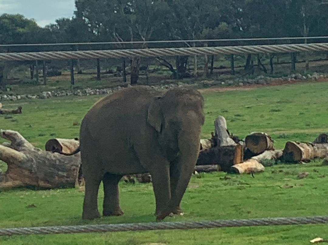 Monarto Safari Park-Monarto必去景点