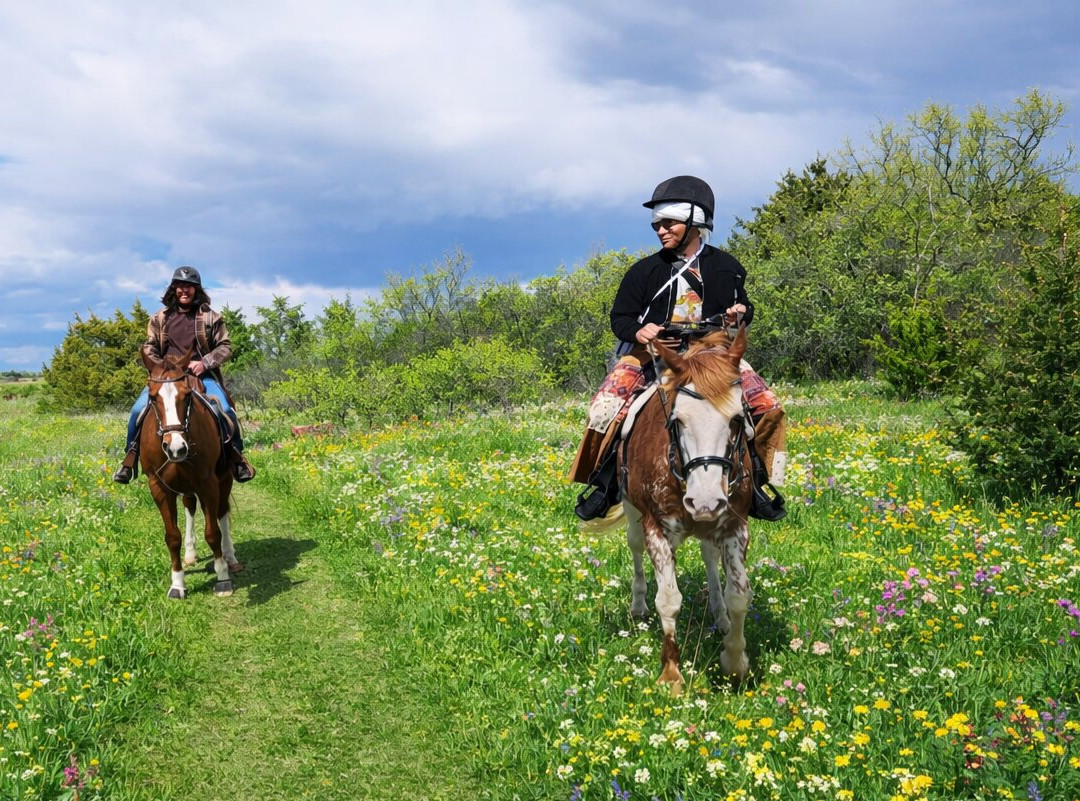 Christine's Horseback Riding-卡尼必去景点