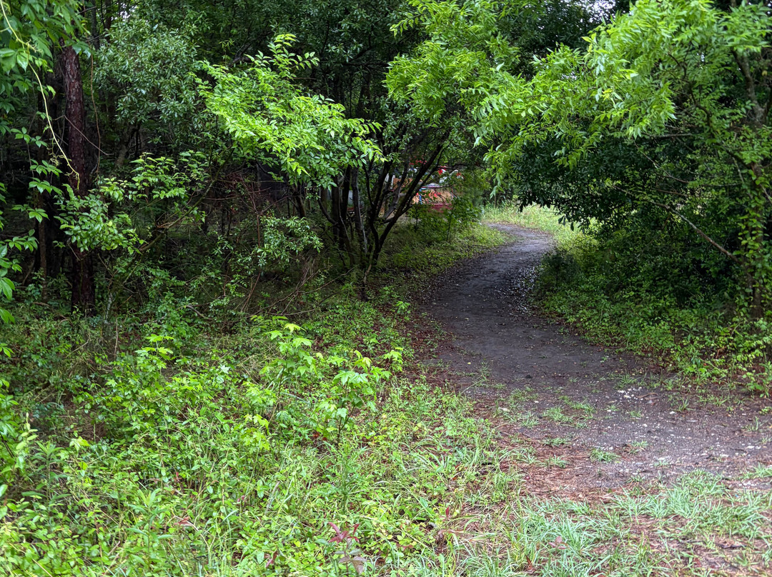 Spanish Moss Trail-博福特必去景点