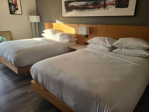 哥伦比亚万豪东北德尔塔酒店-旅行者