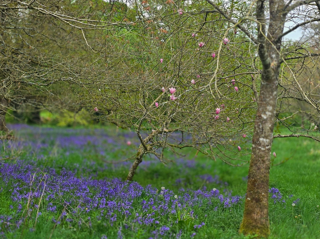 Tullynally Castle Gardens-Castlepollard必去景点