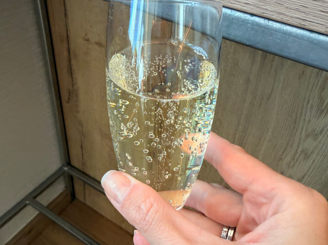 Plaza Premium Lounge (Non-Schengen Area, Departures, Mezzanine Floor, Terminal 2B)-布达佩斯必去景点