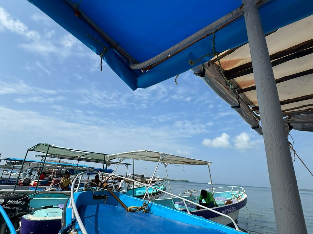 Kisite-Mpunguti Marine National Park and Reserve-Shimoni必去景点