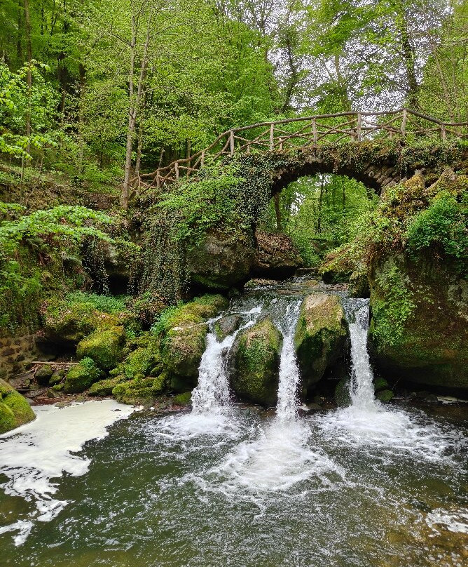 Schiessentumpel Waterfall-Mullerthal必去景点
