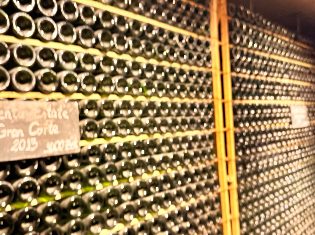 Pulenta Estate Winery-阿格雷洛必去景点
