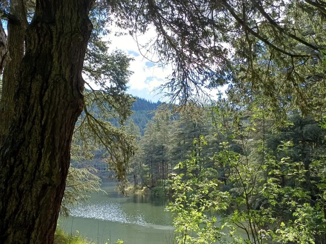 Barrage du Ternay-Saint-Marcel-les-Annonay必去景点