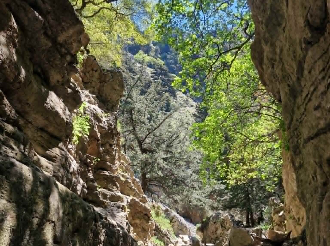 Imbros Gorge-克里特岛必去景点