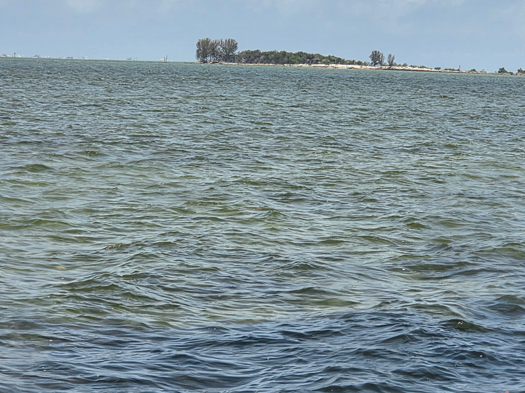 Marina Rose Cruises-Hernando Beach必去景点