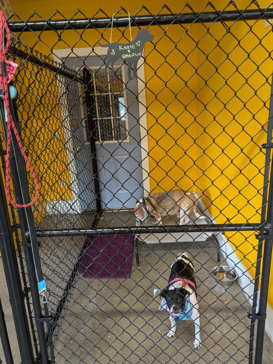 The Paw House Inn-旅行者