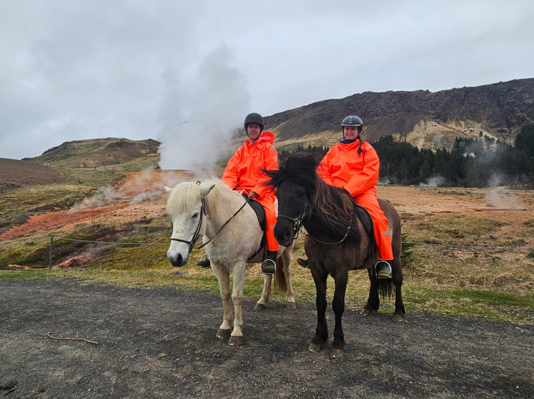 Eldhestar Volcano Horses-Olfus必去景点