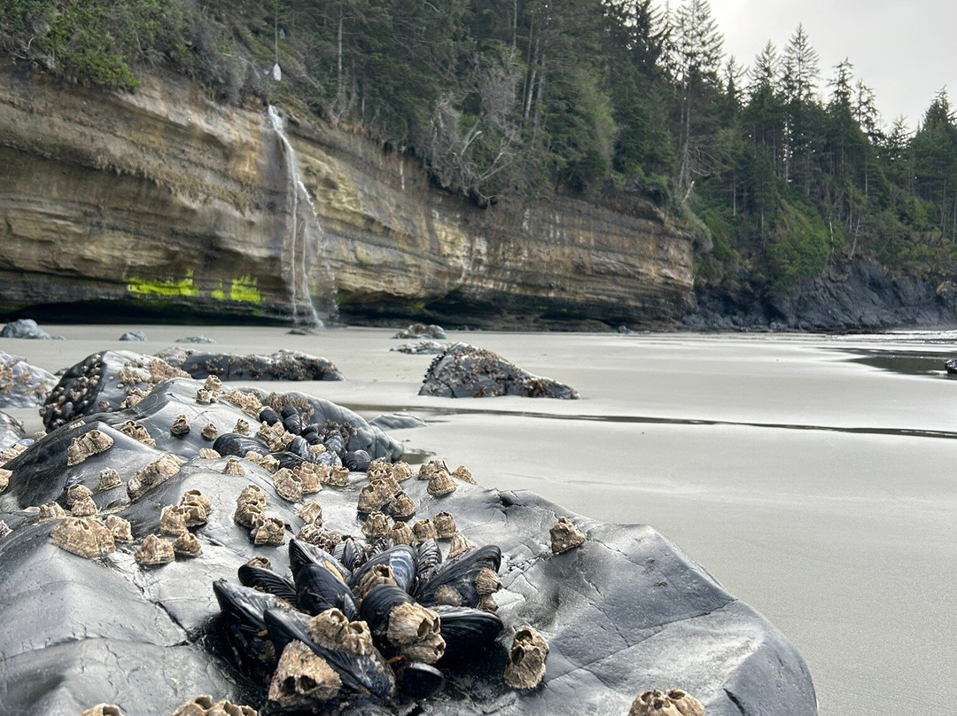 Juan de Fuca Marine Trail-温哥华岛必去景点