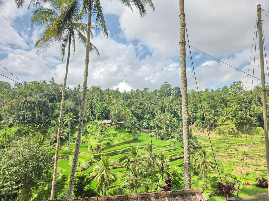 Ubud Quad Bike Adventure-乌布必去景点